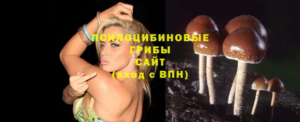 марки lsd Алексин